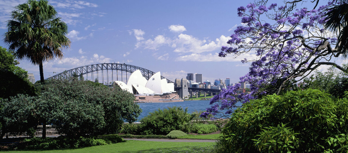 로열 보태닉 가든 시드니 Royal Botanic Garden Sydney