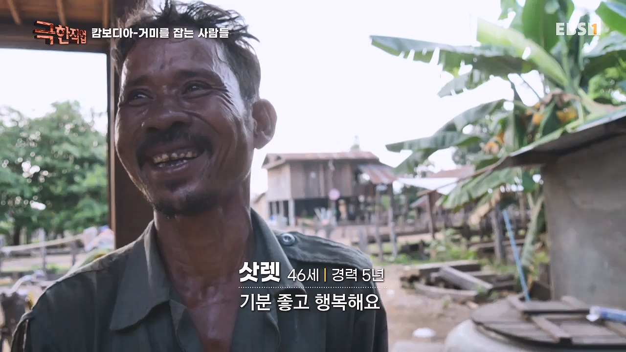 TV - 전 국민의 평생학교 EBS캄보디아 - 독충을 잡는 사람들.mp4_20230501_173411.085.jpg