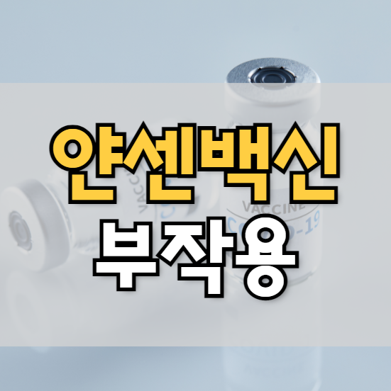  얀센 백신 효과와 부작용 알아볼까요? (feat.타이레놀 복용법)