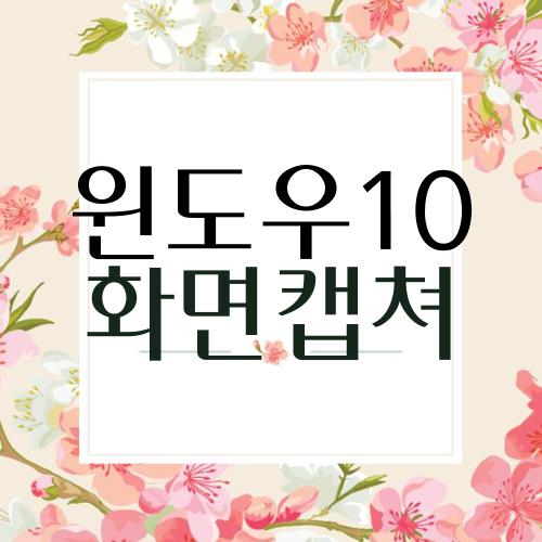 윈도우10 화면캡쳐