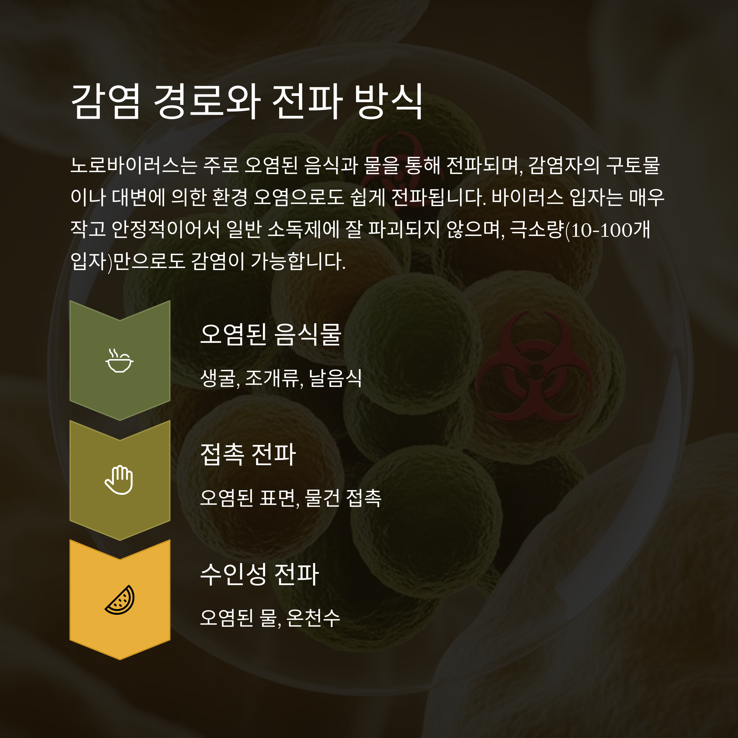 감염 경로