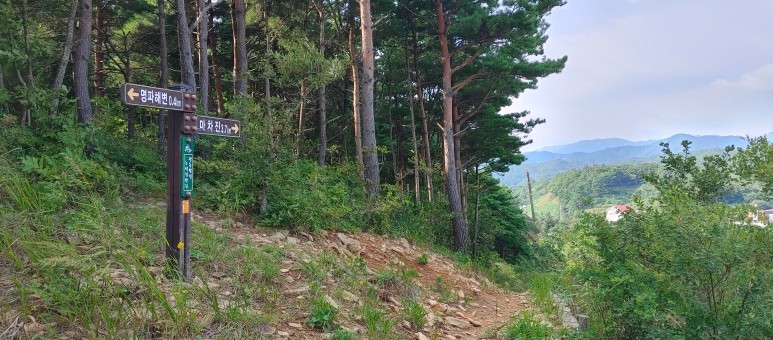 제진검문소 - 통일전망대 출입신고소 해파랑길 50코스 : 28