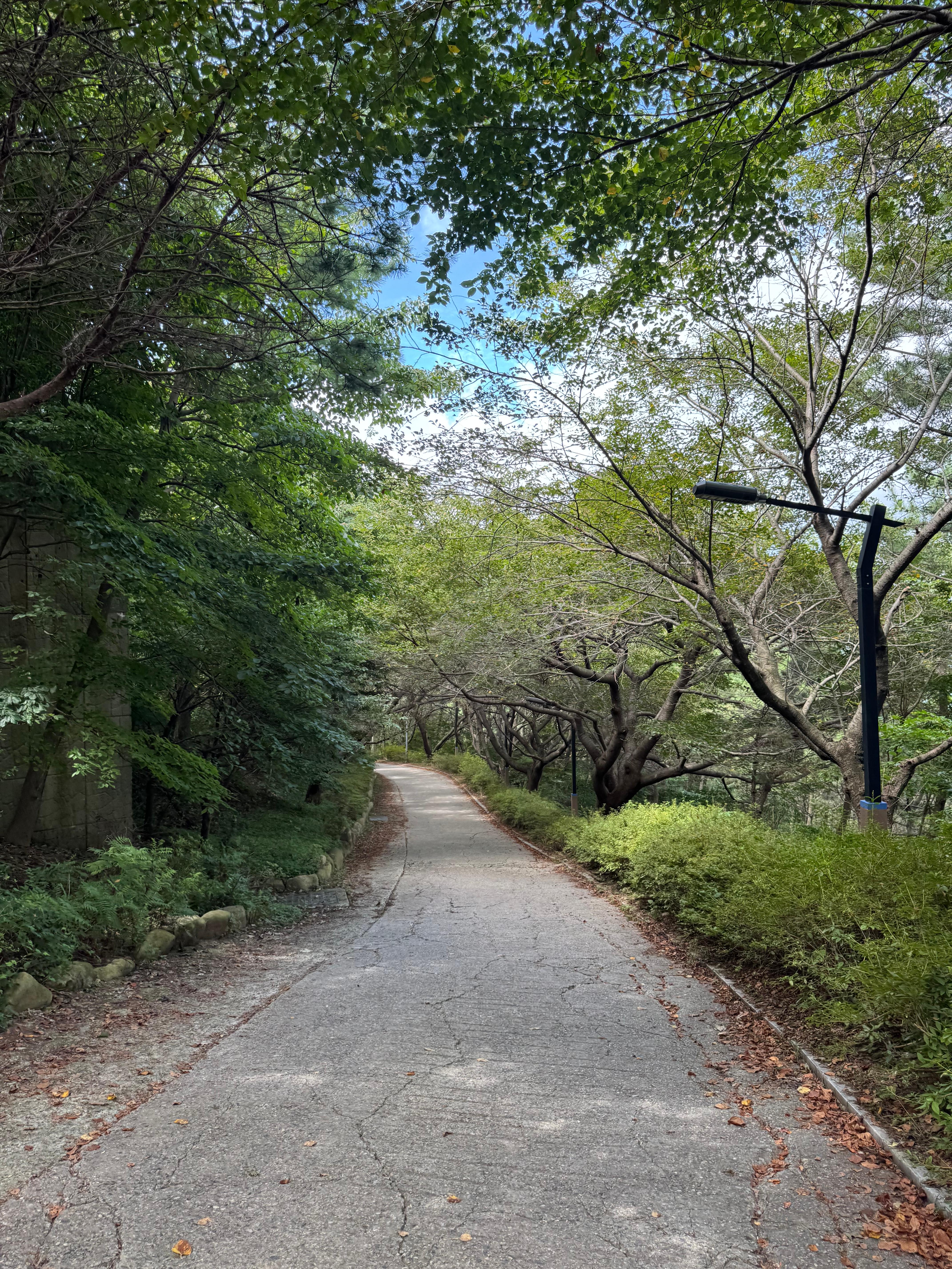 Geuraenisalrungwacheon (그래니살룬과천) 3