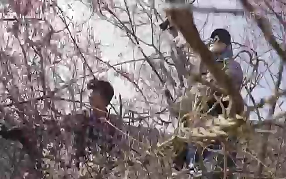 다큐 인사이트 - KBS인생정원 - 붉은 매화가 피면] 봄이면 가장 먼저, 그리고 가장 붉게 피어나는 강인한 소성의 매화.ts_20220818_205157.735.jpg