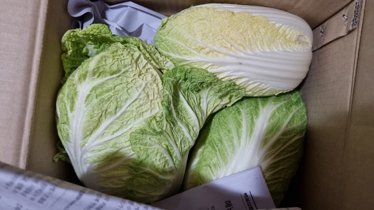 저칼로리 다이어트음식 두부배추쌈말이 5