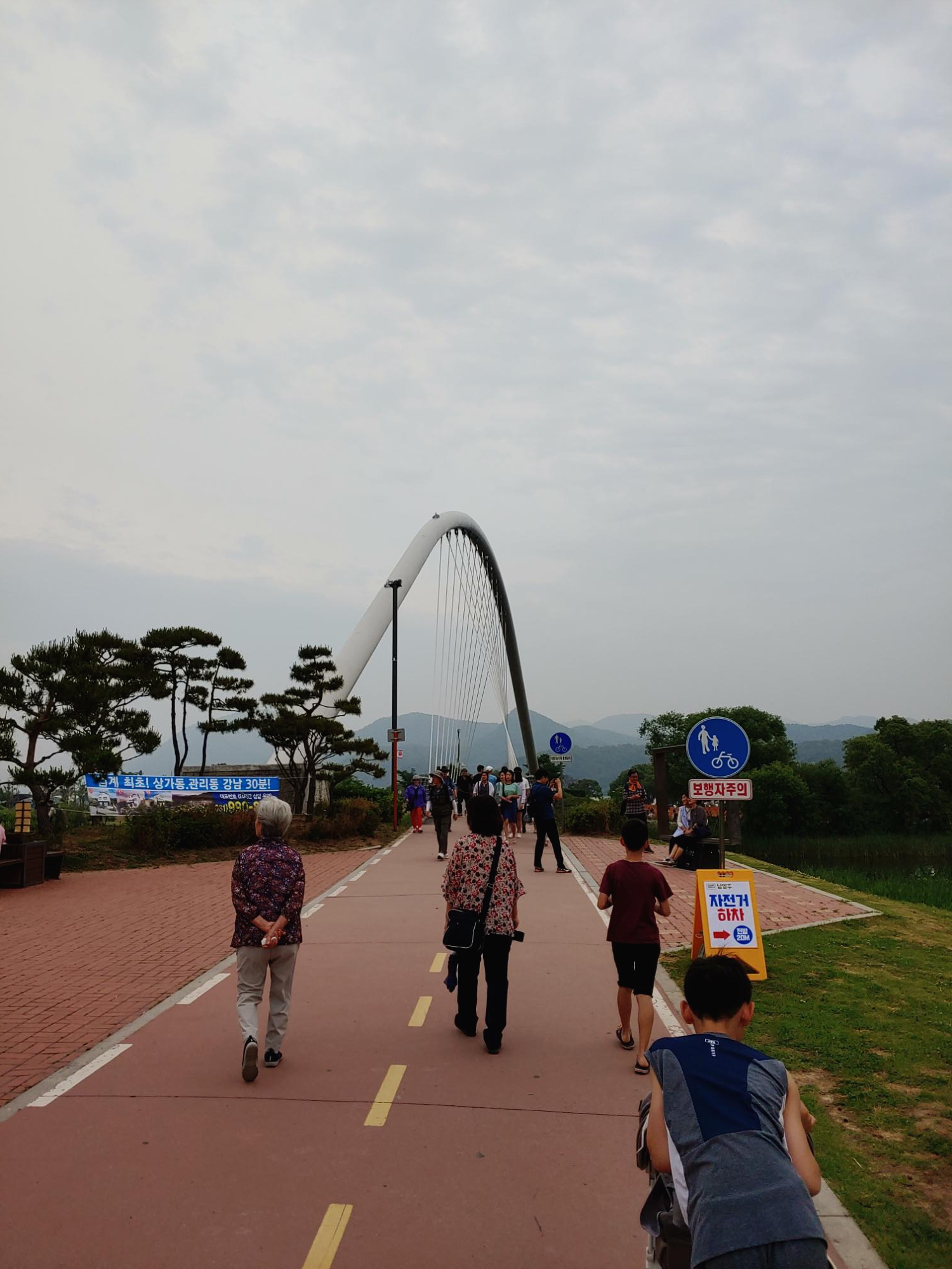  남양주 물의정원 양귀비꽃