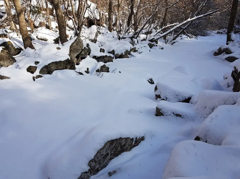 강원도 태백산 설경