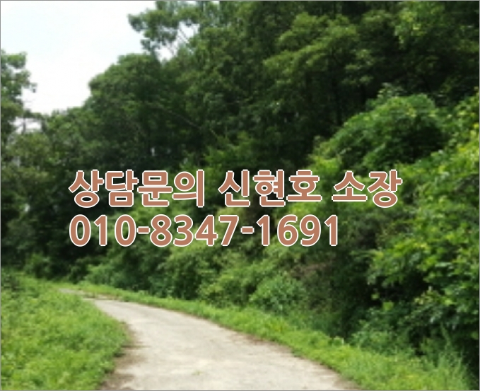 경북 영천 임야 매매 [2021타경4956] 경북 영천시 7