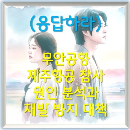 무안공항 제주항공 참사 원인 분석과 재발 방지 대책
