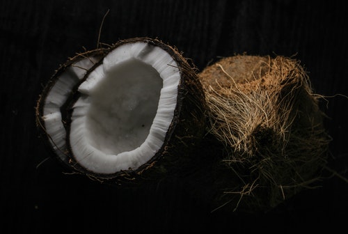 코코넛 단점