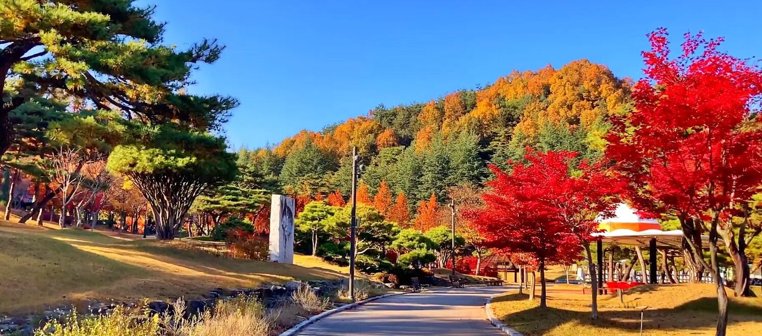 직지문화공원