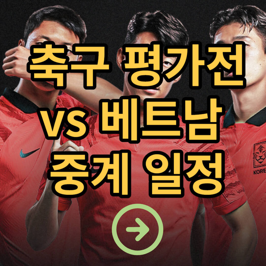 축구 국가대표 평가전 베트남