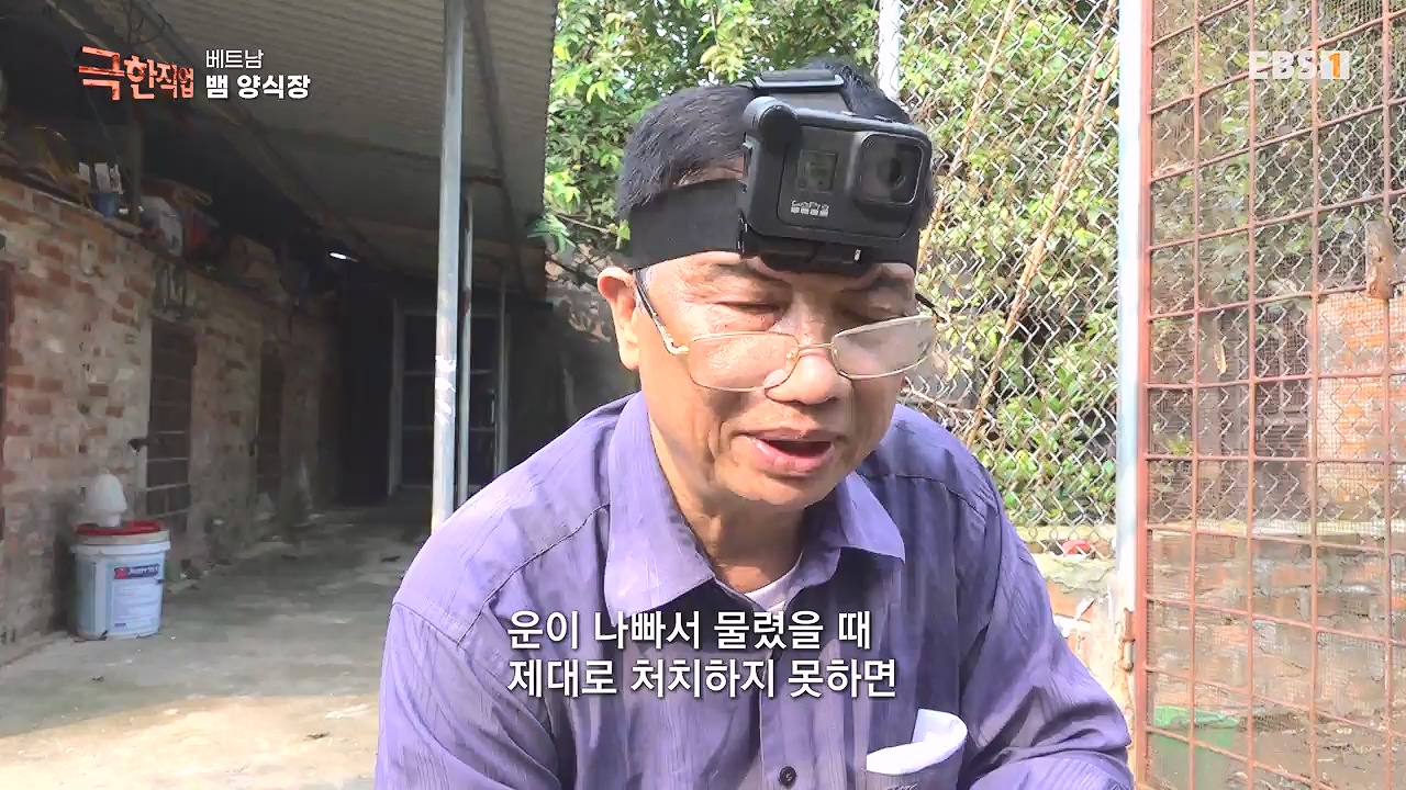 TV - 전 국민의 평생학교 EBS베트남 뱀 마을 사람들.mp4_20240615_170533.107.jpg