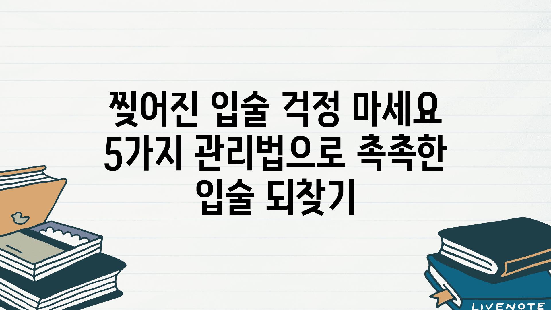 찢어진 입술 걱정 마세요 5가지 관리법으로 촉촉한 입술 되찾기