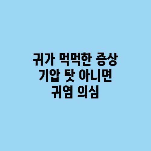 귀가 먹먹한 증상 기압 탓 아니면 귀염 의심