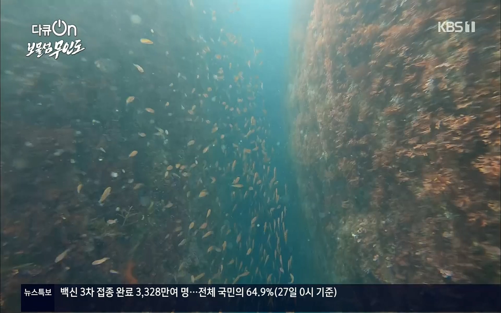 다큐 On.E141p.H264-F1RST.mp4_20220530_202701.852.jpg