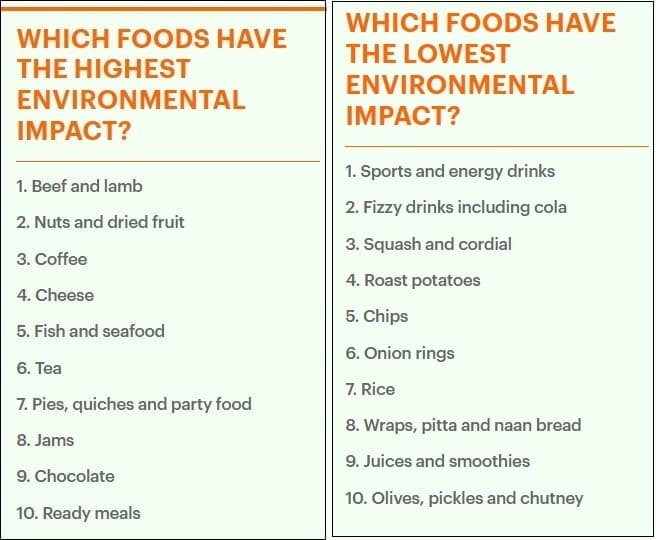 우리가 먹는 환경에 가장 좋은 음식과 나쁜 음식 How bad are YOUR favourite foods for the environment?