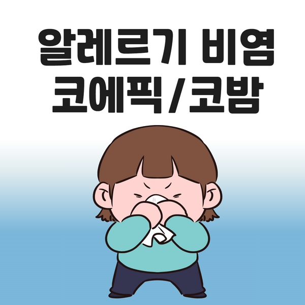 알레르기 비염 코에픽