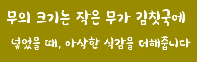 무의 크기는 작은 무가 김칫국에 넣었을 때, 아삭한 식감을 더해줍니다