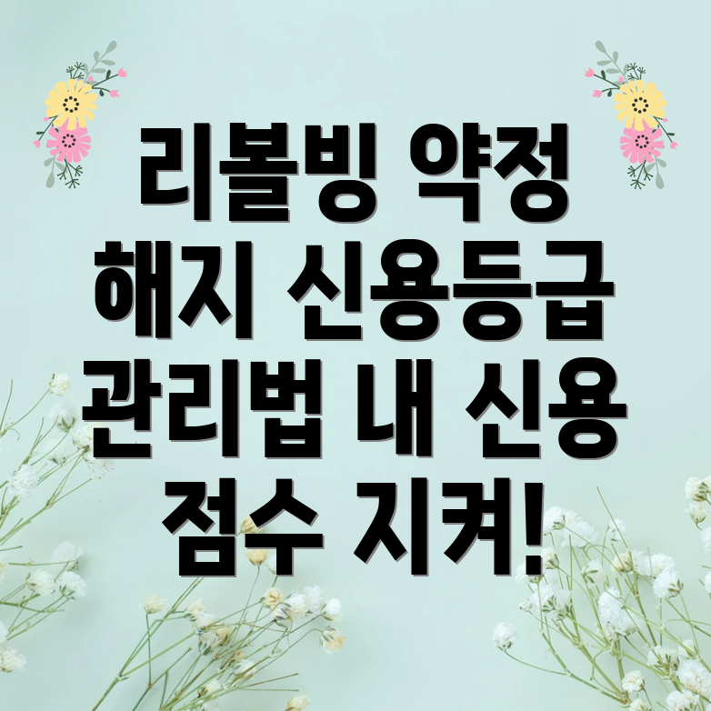 리볼빙 약정 해지