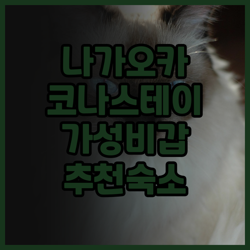 이즈 나가오카 코나스테이 후기.. 가