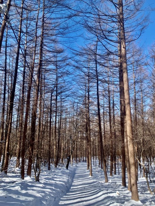 태백산