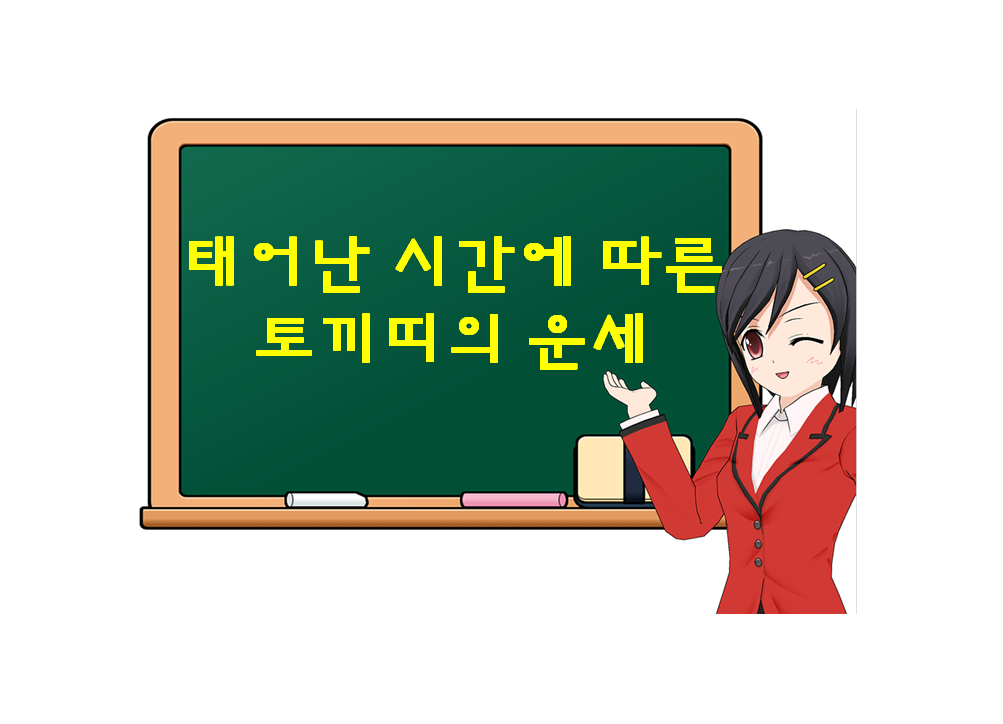  토끼띠,  태어난 시간에 따른 운세가 궁금하다면?