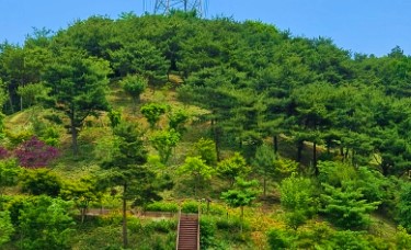 삼선수목원-당진 가볼만한곳 베스트10