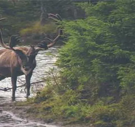 고양이 화장실 모래 테스트 셋업