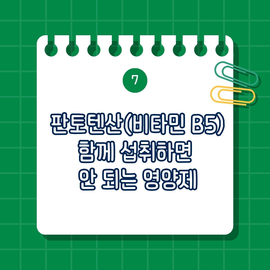 판토텐산, Pantothenic acid, 비타민B5, Vitamin B5, Vit B5 함께 섭취하면 안 되는 영양제, 함께 복용하면 안 좋은 성분, 같이 먹으면 안 되는 약물
