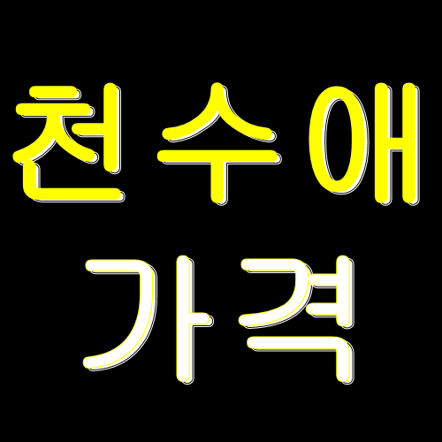  천수애 가격