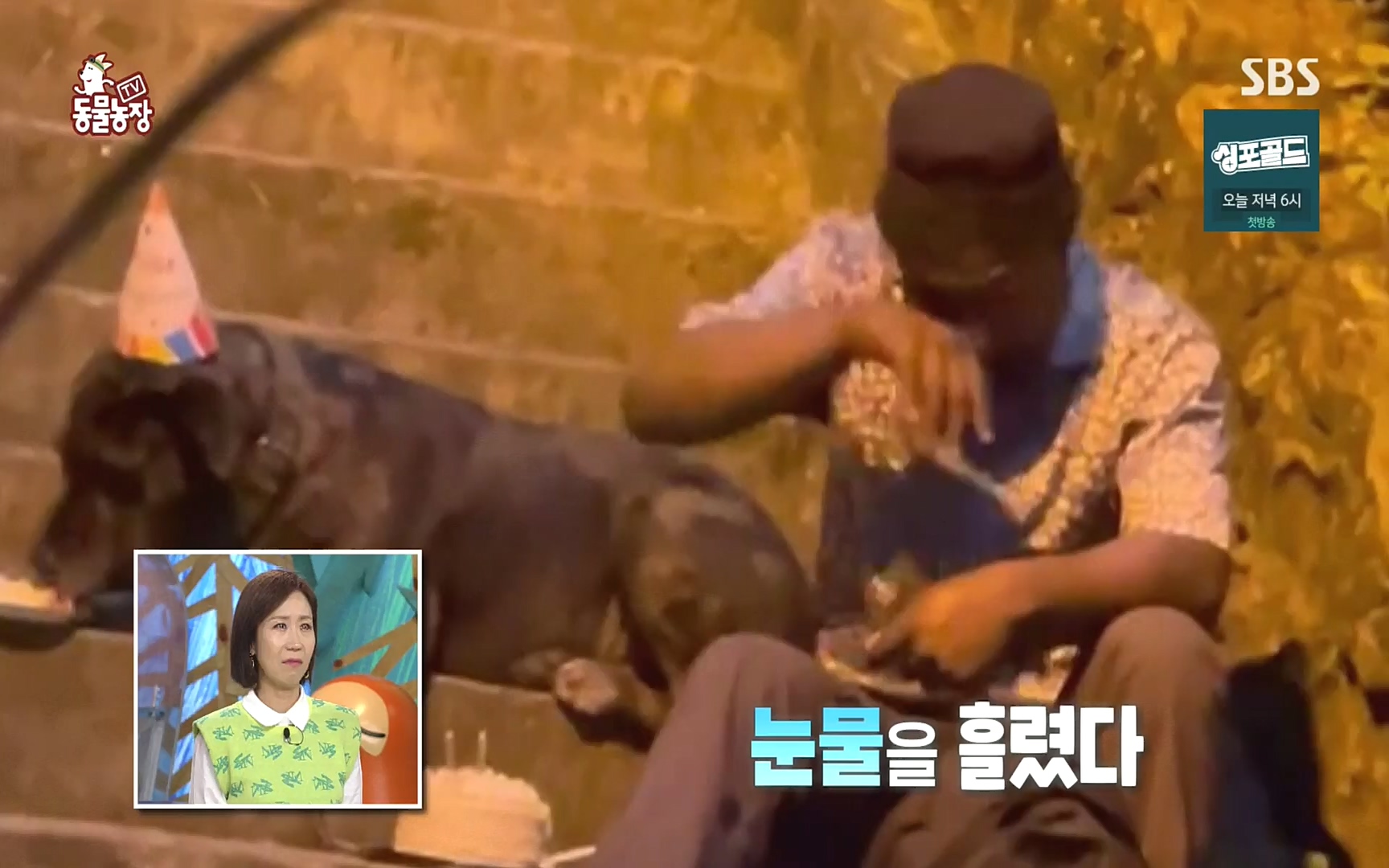 TV 동물농장.E1088.220925p.H264-F1RST.mp4_20220925_174348.762.jpg
