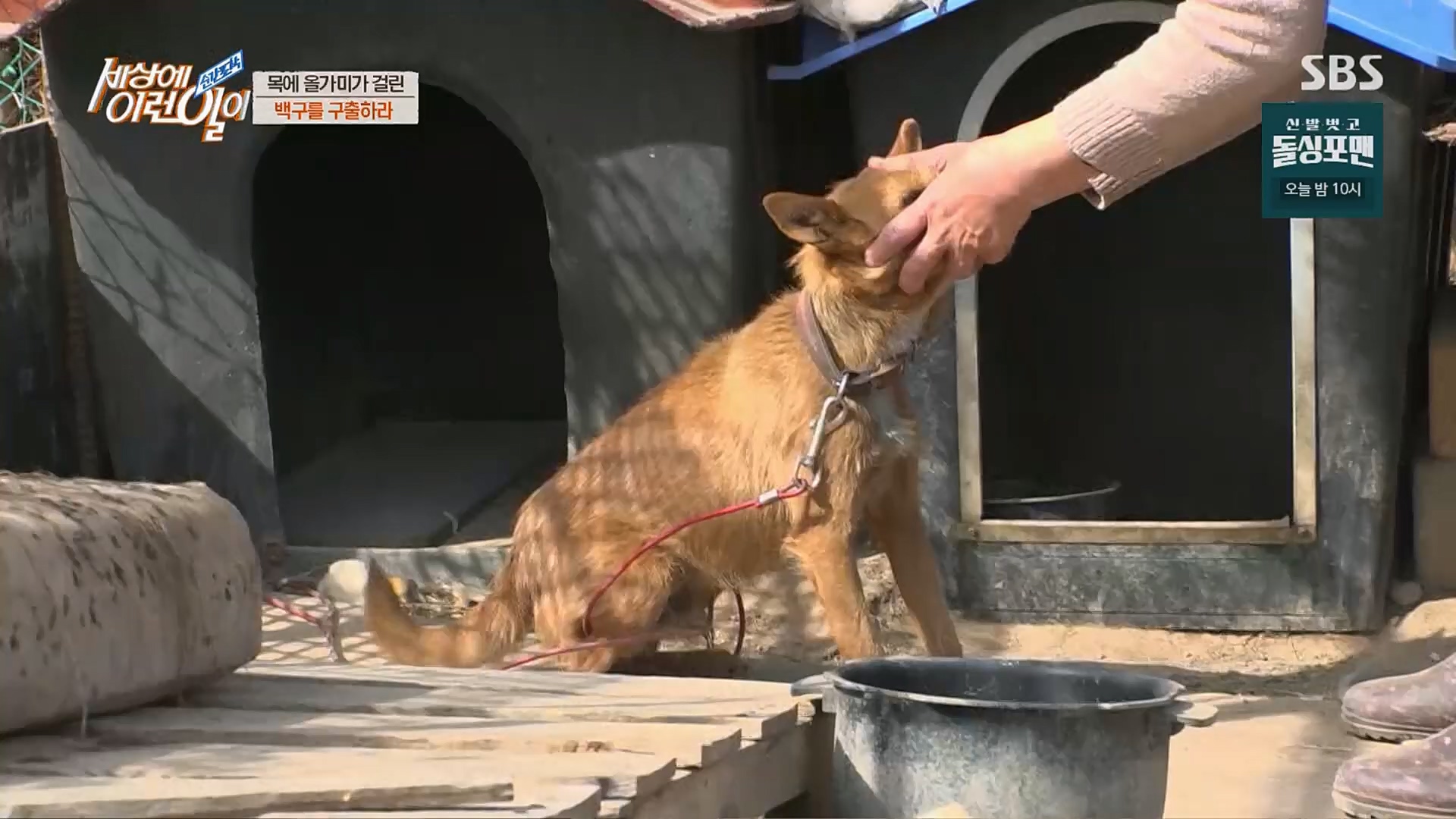 순간포착 세상에 이런일이.E1219.230228p.H264-F1RST.mp4_20230301_165033.948.jpg