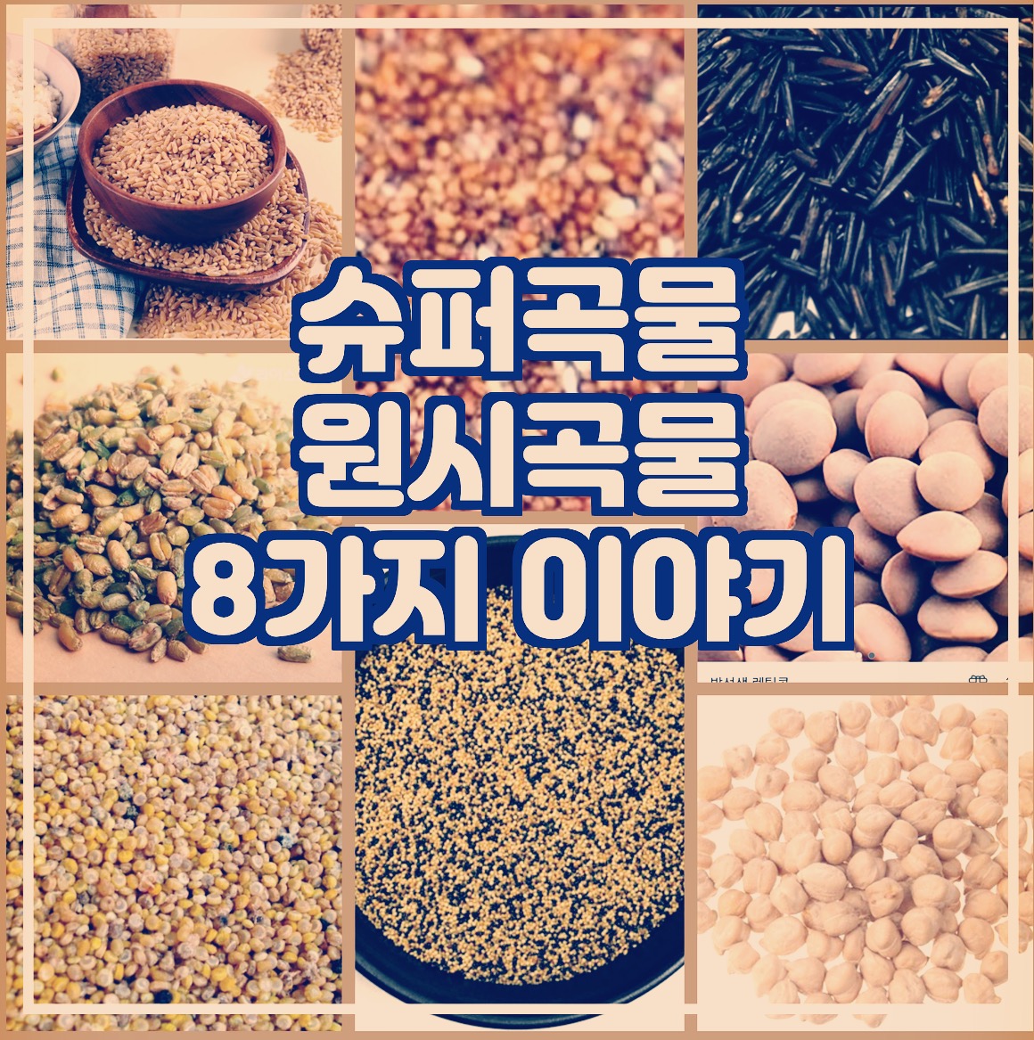  슈퍼곡물 원시곡물 8가지 이야기