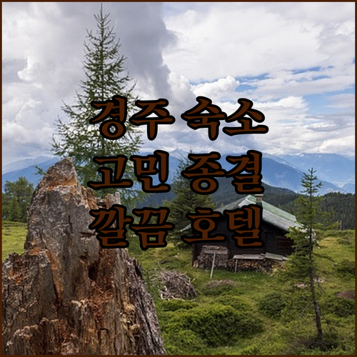 경주 여행 숙소 고민 종결 깨끗하고 