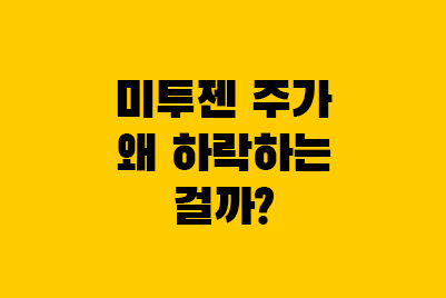  미투젠 전망 분석: 주가, 배당, 성장성 (소셜 카지노게임주)