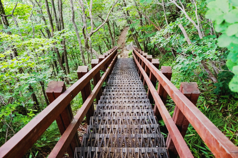 한국 명산 전남 광양 백운산 등산 mountain hiking