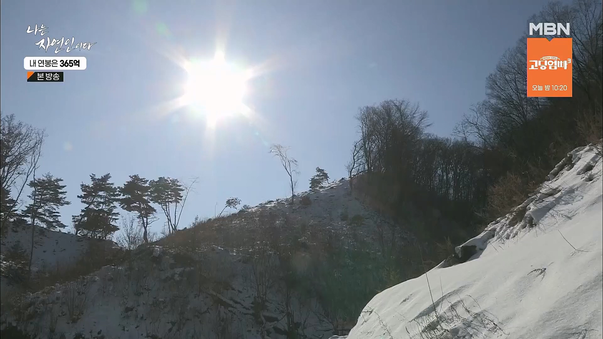 나는 자연인이다.E537.230118p.H264-F1RST.mp4_20230119_204855.930.jpg