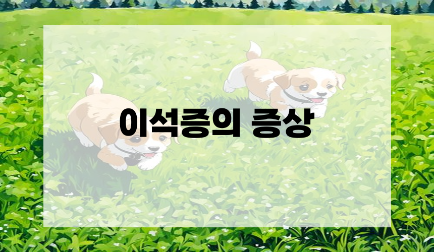 이석증의 증상