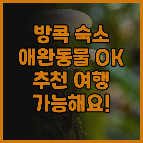 방콕 숙소 추천 여행자의 집 애완동물