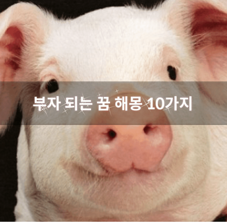  부자 되는 꿈 해몽 10가지