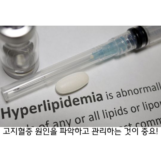  고지혈증 원인을 파악하고 관리하여 건강한 라이프 스타일 유지!
