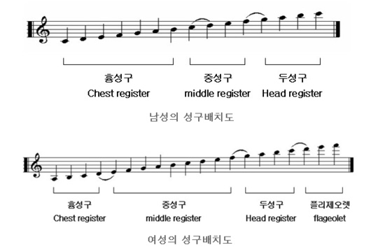 성구배치도