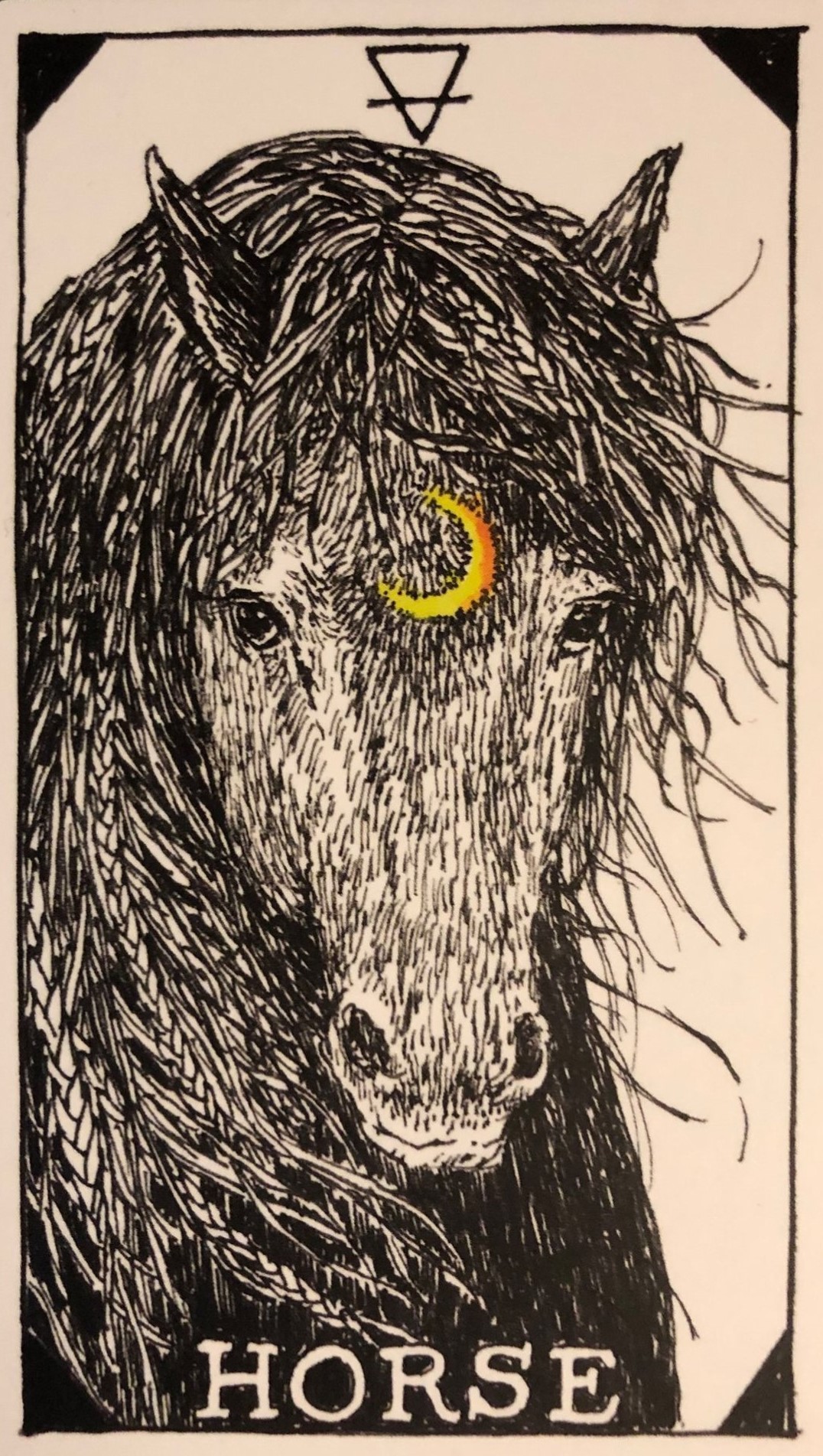  [오라클카드배우기/와일드언노운애니멀스피릿]The Wild Unknown Animal Spirit  Horse 말 해석 및 의미