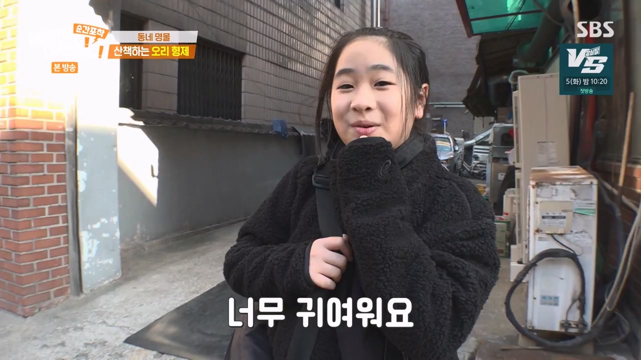 순간포착 세상에 이런일이.E1254.231203p-NEXT.mp4_20231203_140535.235.jpg