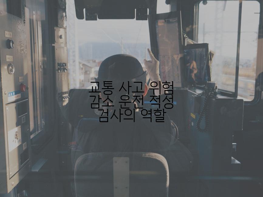 교통 사고 위험 감소 운전 적성 검사의 역할