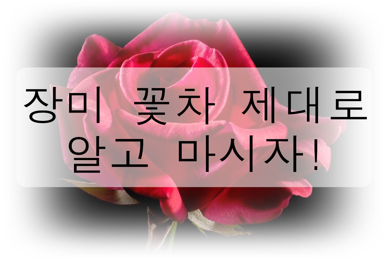 장미 꽃차 제대로 알고 마시자! (효능&#44; 부작용)