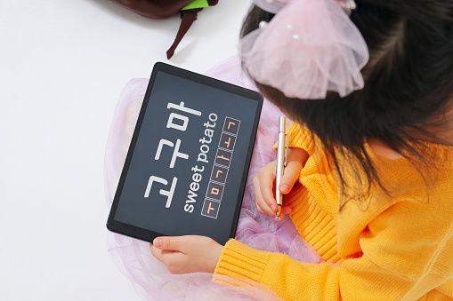 한글맞춤법검사기(feat. 네이버, 사람인, 인크루트, 부산대 맞춤법 검사기)