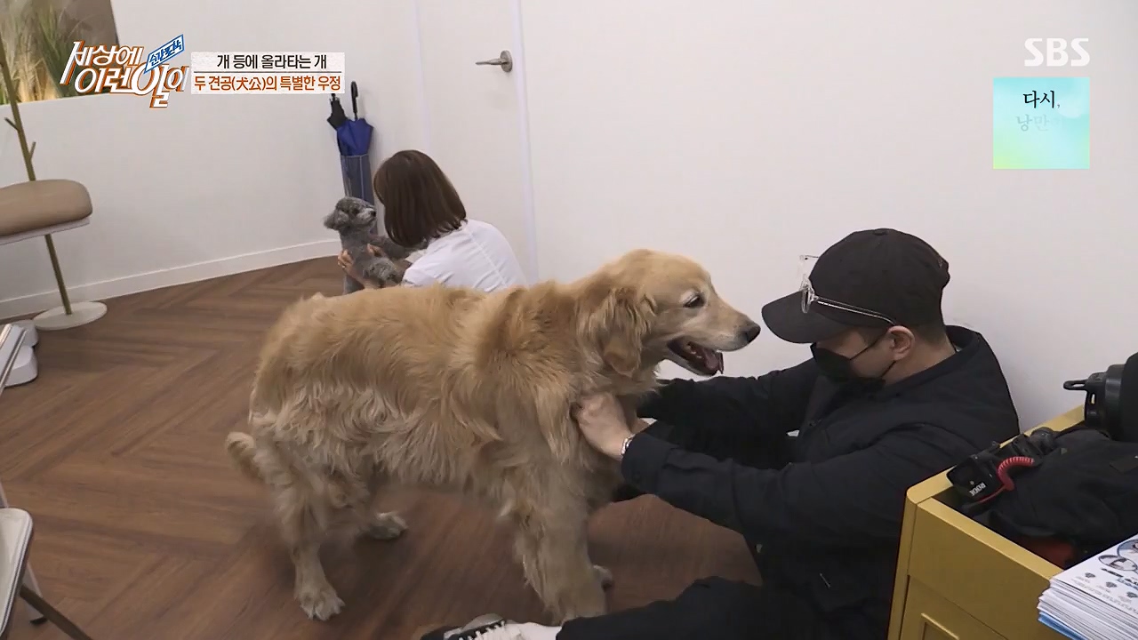 순간포착 세상에 이런일이.E1228p-NEXT.mp4_20230503_200105.545.jpg