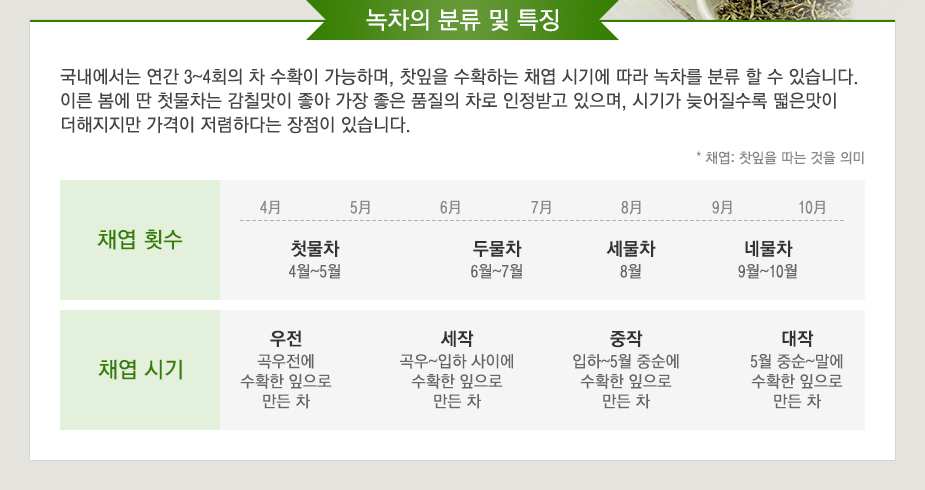  [차이야기] 차의 종류, 차의 이름, 차의 채취 시기에 따른 이름 구분